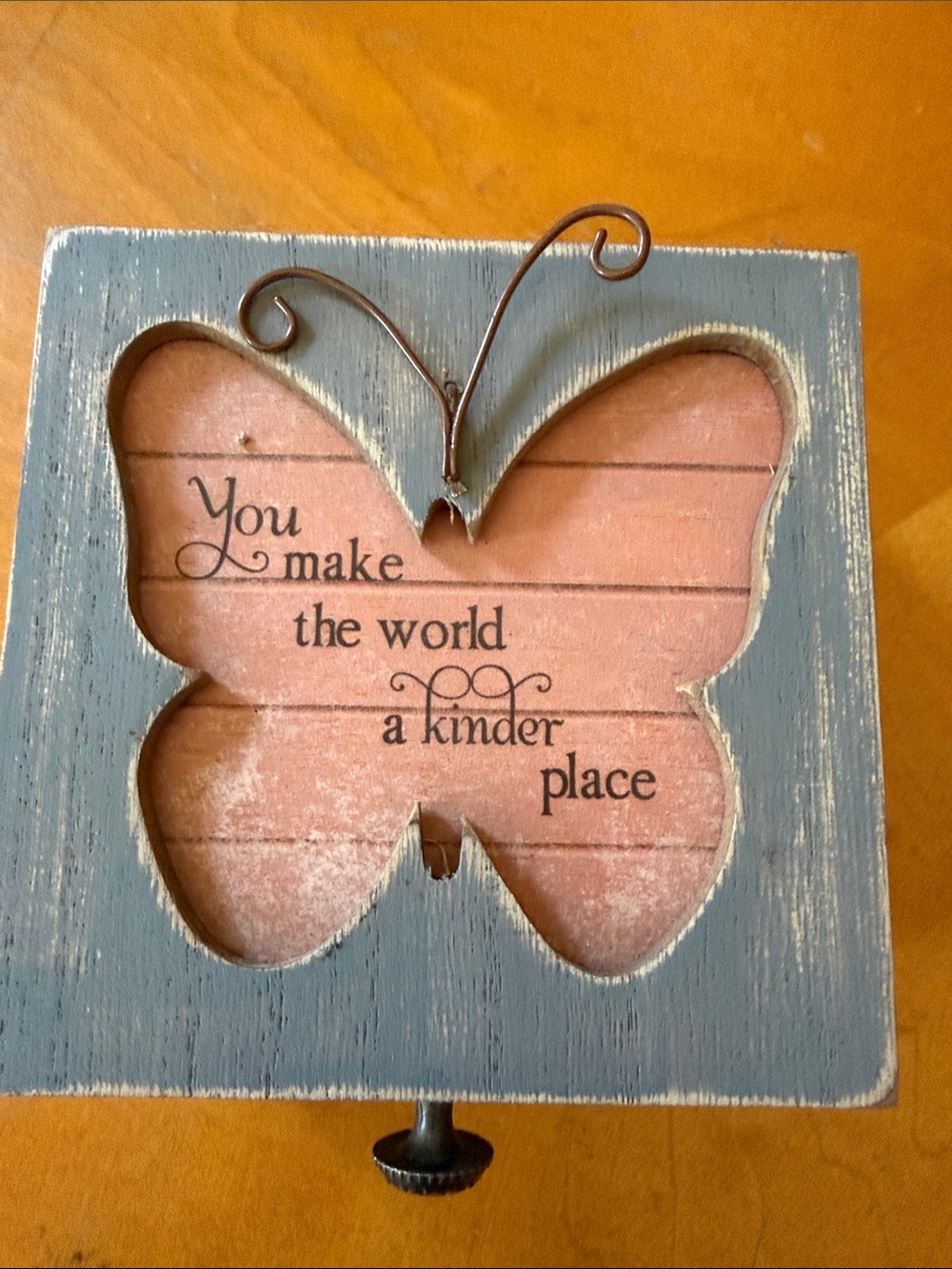 Blue  Pink Butterfly Sentiment wooden box  Art